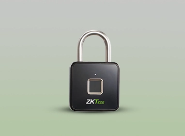 Smart Locks